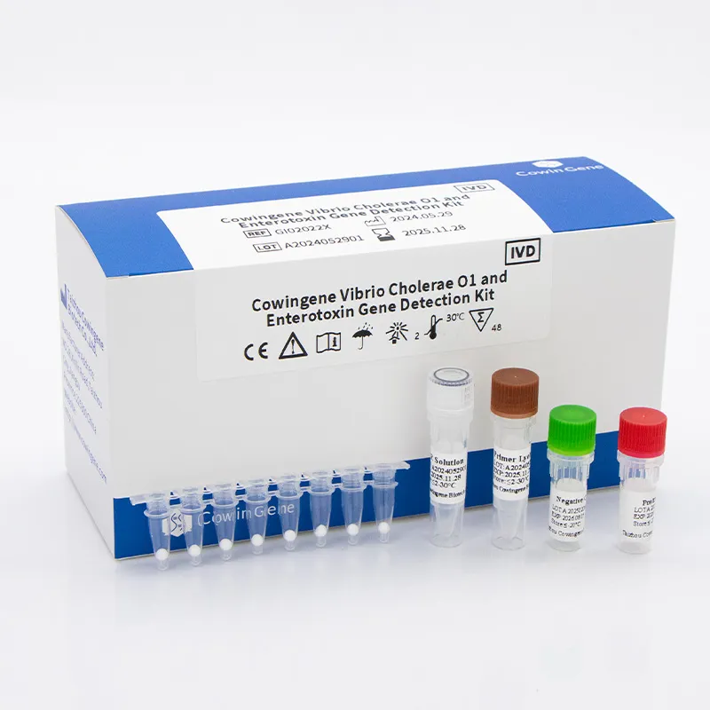 Rapid Norovirus Detection Kit | Fast, Accurate Tests