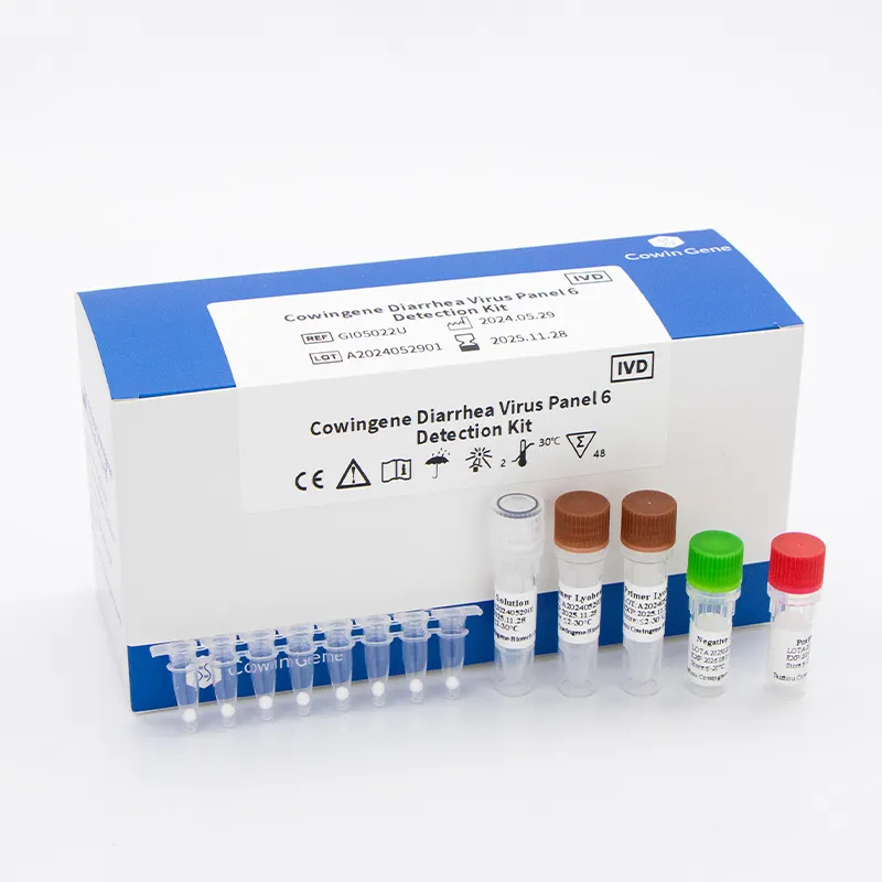 Norovirus Detection Kit – Rapid, Accurate, Easy-to-Use