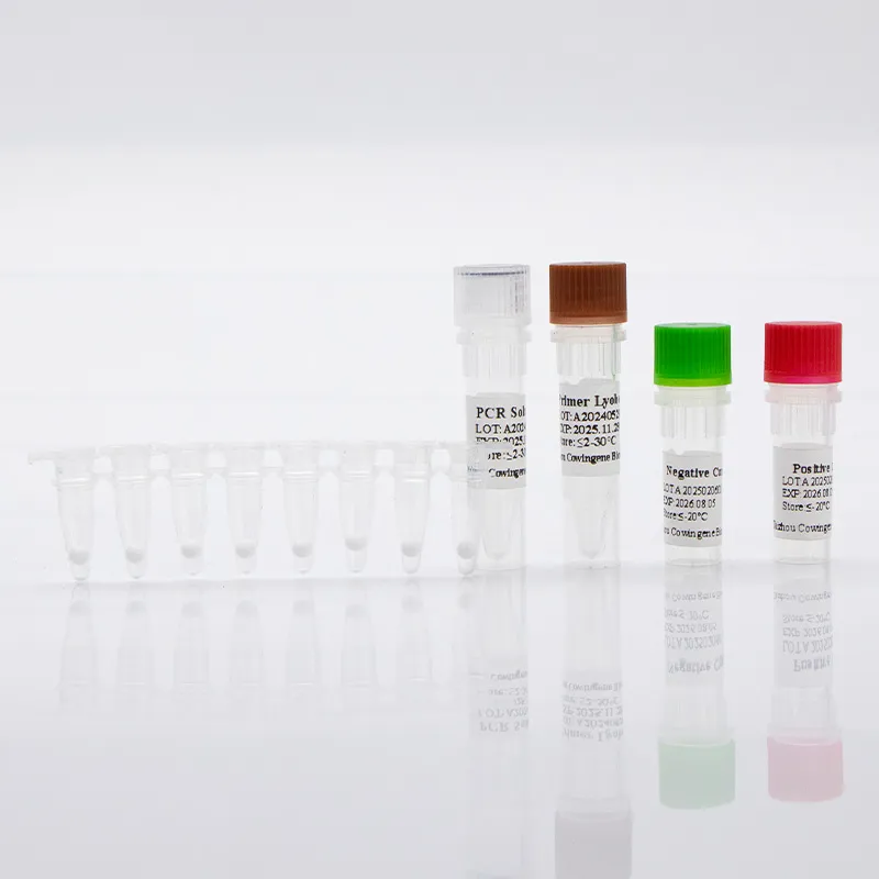 Rapid detection chlamydia trachomatis | Accurate PCR kit