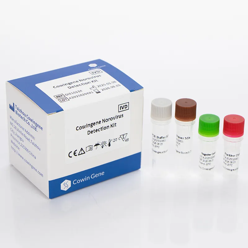 Norovirus Detection Kit - Rapid, Accurate, CE-Marked