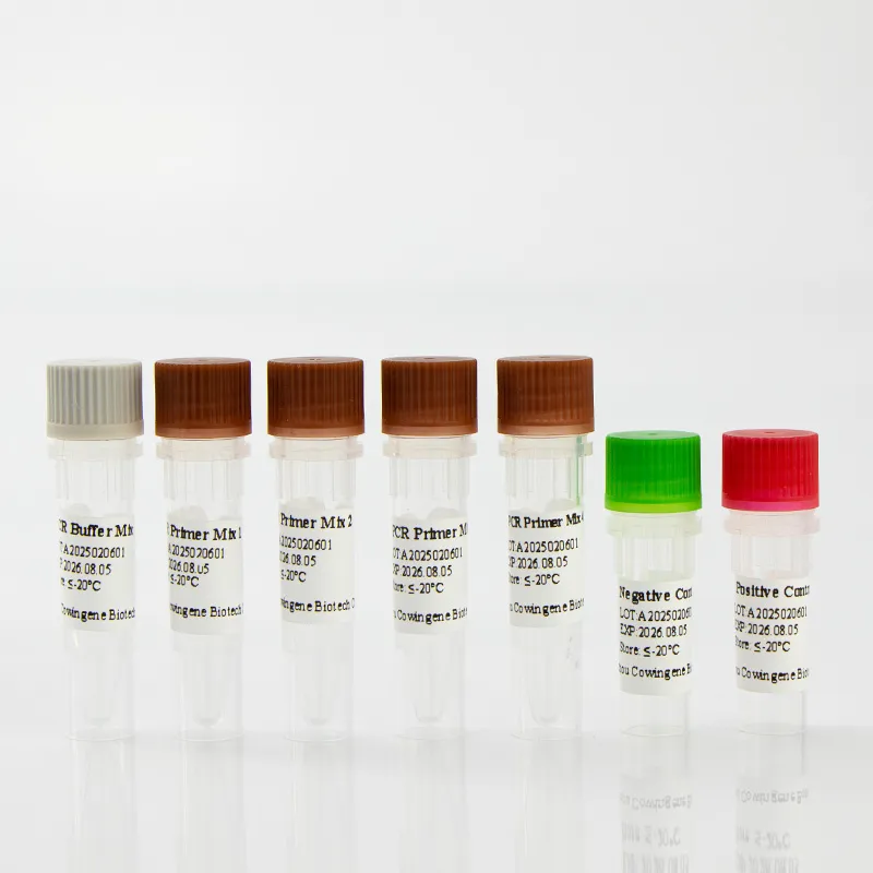 Detection Chlamydia trachomatis PCR Kit - Fast, Accurate