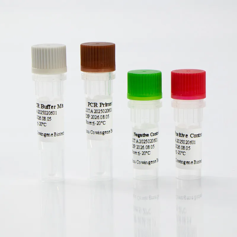 Looking for MTB Detection with a Rapid, Sensitive PCR Kit?