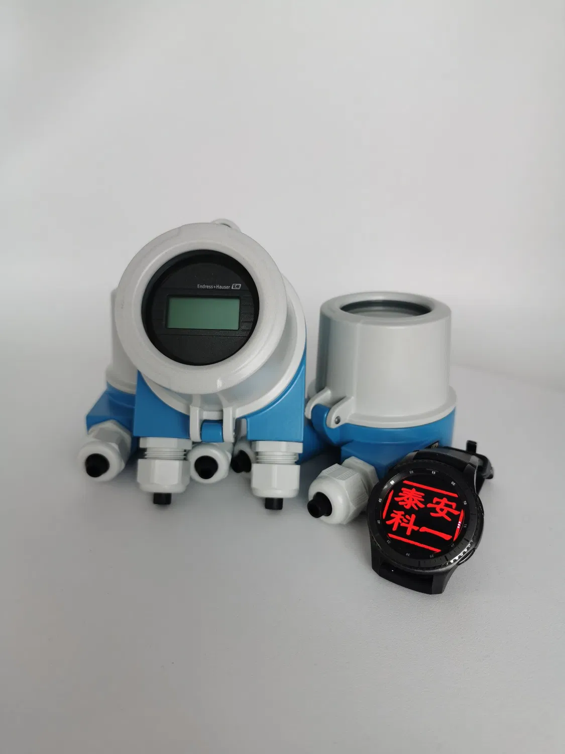 Endress Hauser Tr61Tr62Tr63Tr65Tr66 Omnigrad S Thermometer