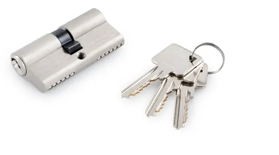 Double Profile Cylinder