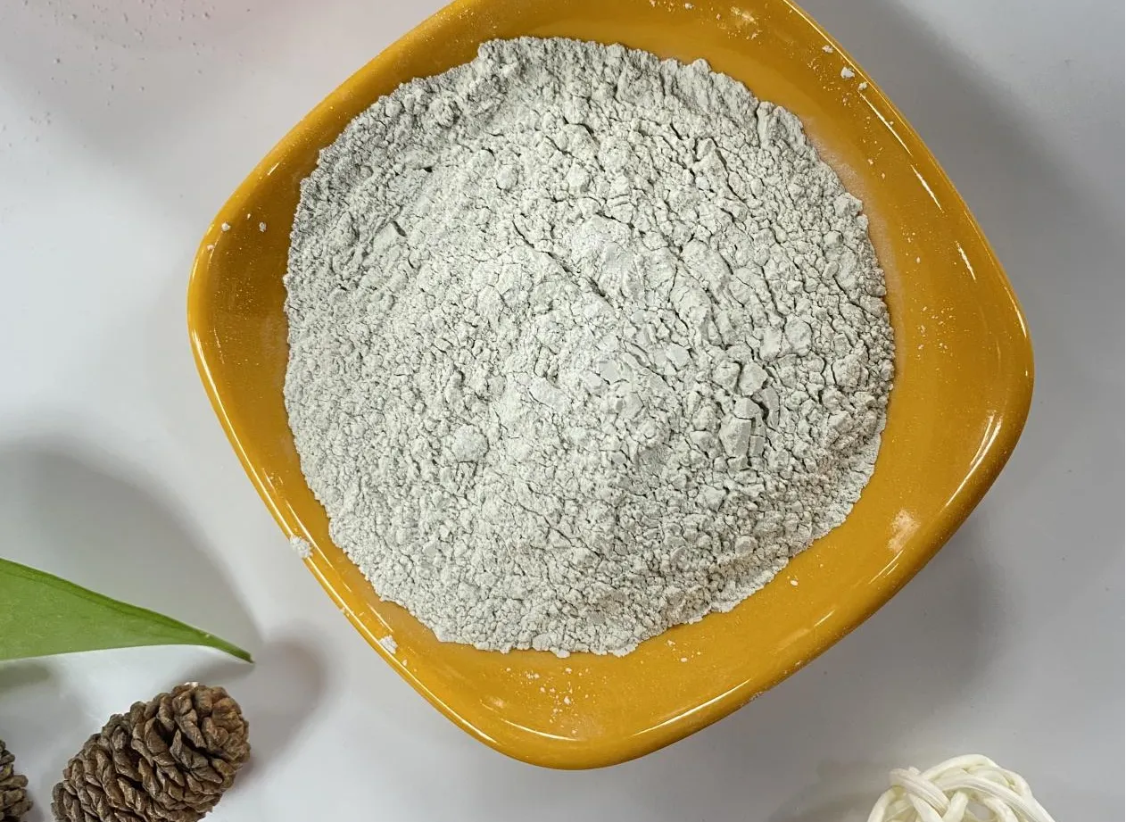 Understanding Gypsum Retarders and Accelerators: Enhancing Plaster Performance Understanding Gypsum Retarders and Accelerators: Enhancing Plaster Performance