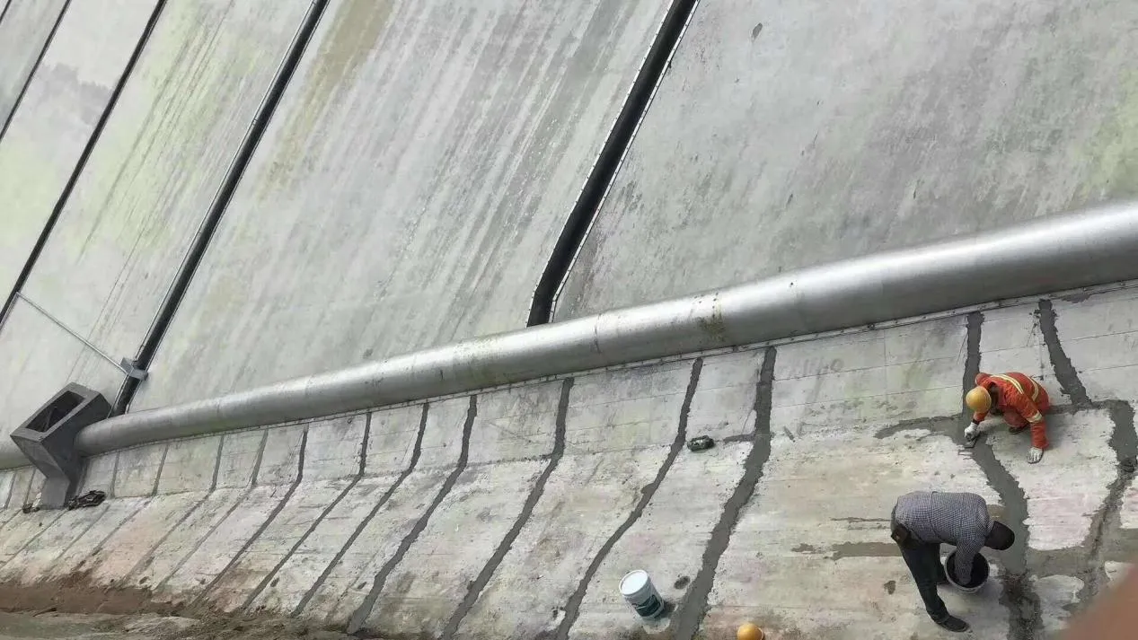 Redispersible Polymer Powder Types, Applications and Market Trends Redispersible Polymer Powder Types, Applications and Market Trends