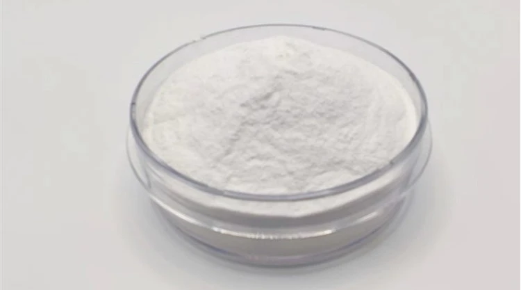 Redispersible Polymer Powders: Types and Their Role in Construction