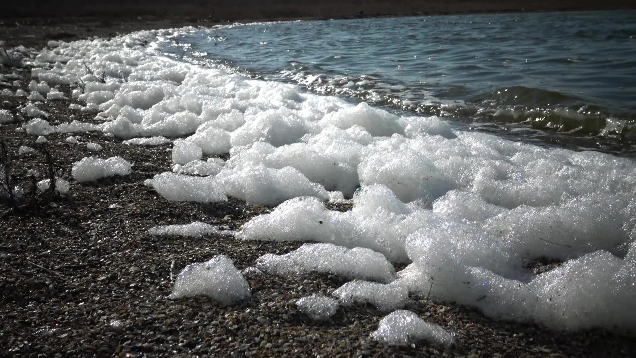 Understanding Antifoaming and Defoaming Agents: Types, Uses, and Applications