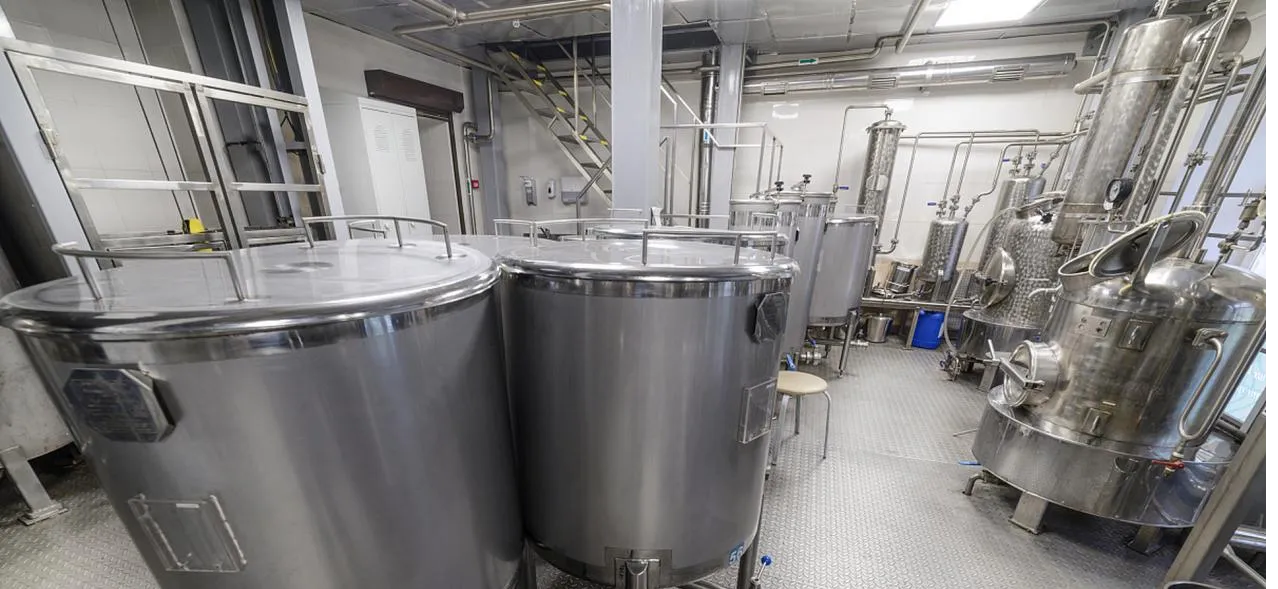The Growing Demand for Hydroxypropyl Starch Derivatives Across Industries