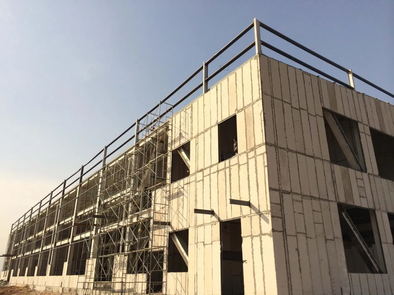 The Importance of Redispersible Polymer Powders in Modern Construction and Adhesive Applications