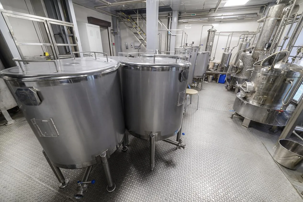 The Power of Modified Starches: Functional Applications in Health, Beauty, and Industry