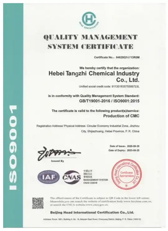 Exploring the Impact of HPMC in Pharmaceutical Formulations and Drug Delivery Systems