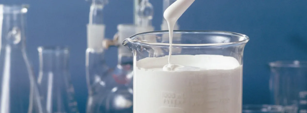 Innovative Polymers for Construction and Detergent Industries