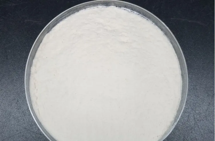 The Many Faces of Cellulose: A Versatile Ingredient Across Industries