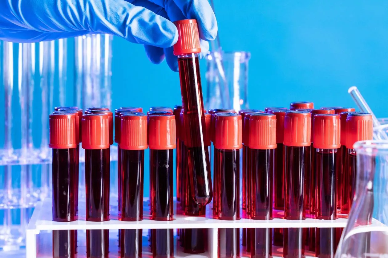 Exploring the Versatility of Modified Starches in Industry and Healthcare