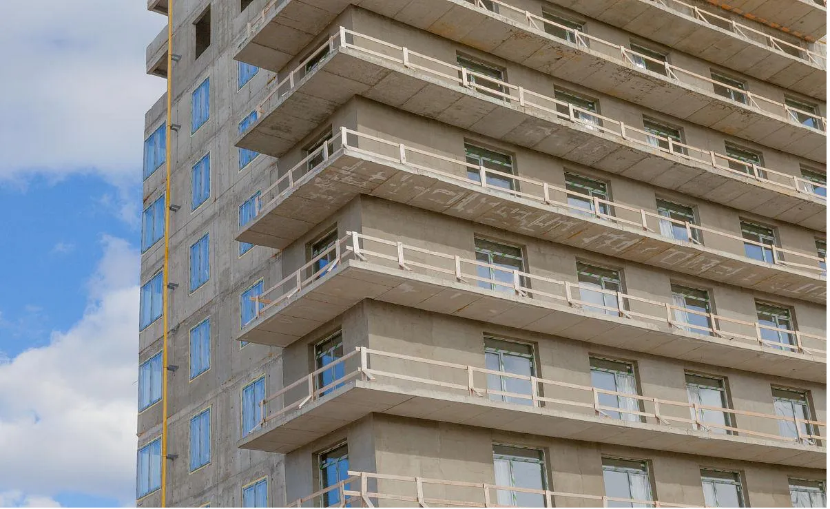 Types of Cellulose and Their Applications Types of Cellulose and Their Applications