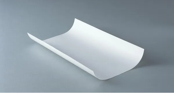 The Expanding World of Cellulose: Types, Innovations, and Market Trends