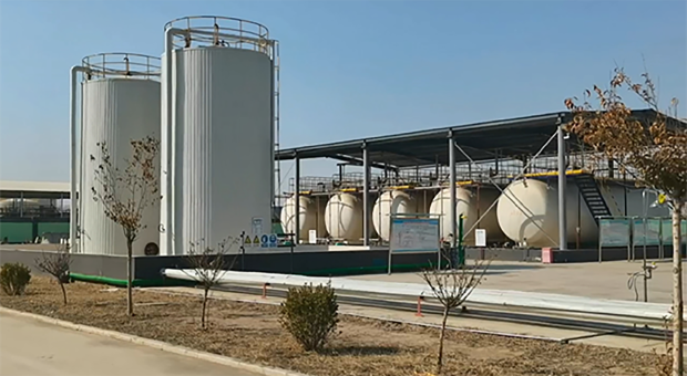 पावर सेलुलोस।