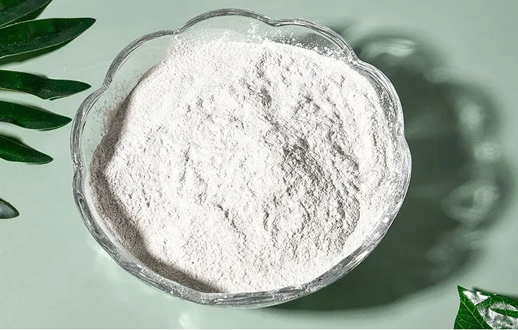 Smart Additives for Smarter Builds: How Gypsum Retarders and Accelerators Improve Performance
