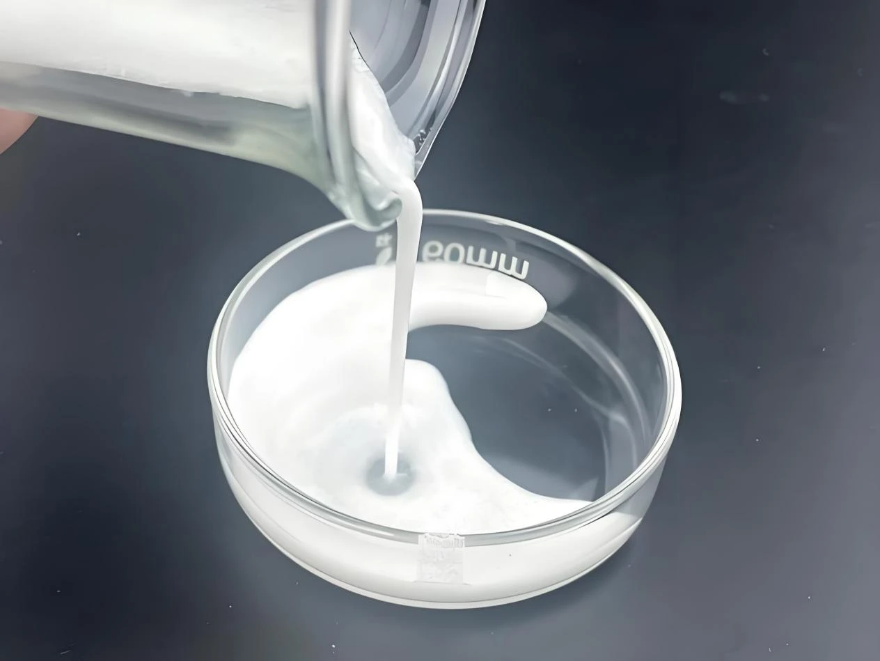 Hydroxypropyl méthyl cellulose (HPMC)