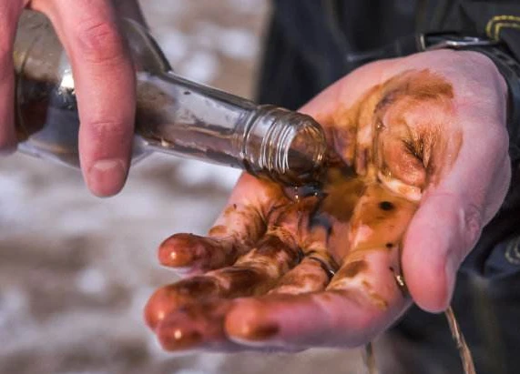 polyvinyl acetate price