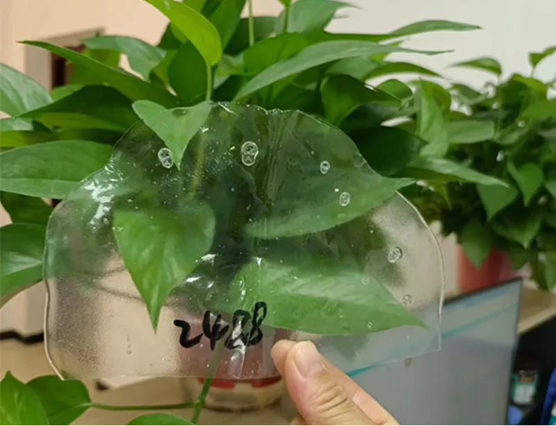 Understanding PVA: Types, Applications, and Construction Uses