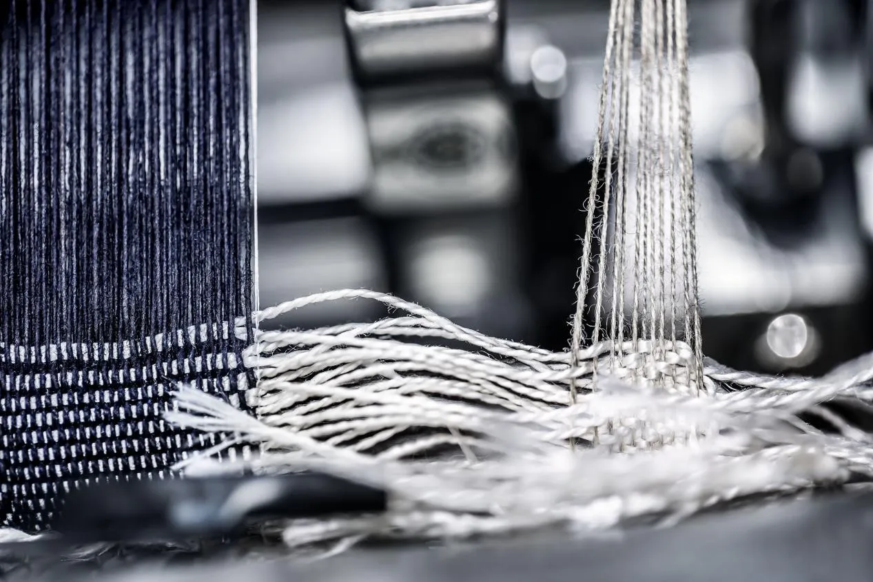 Unlock the Potential of Carboxymethyl Cellulose