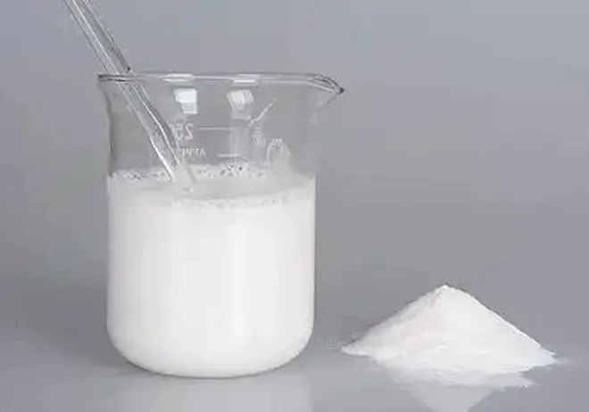 Enhance Your Products with Redispersible Polymer Powder
