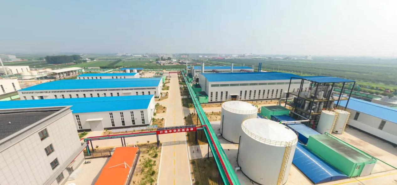 Exploring the Versatility of Ethyl Cellulose and Its Derivatives