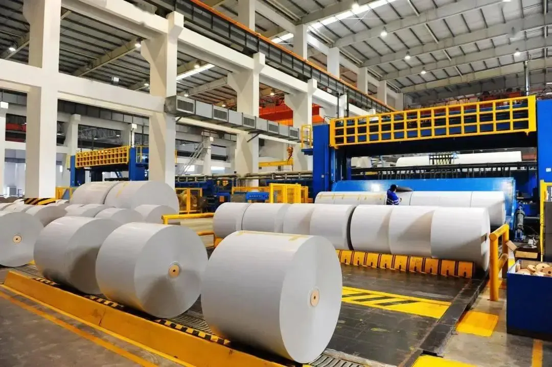 Exploring the Wide-Range Applications of Cellulose in Modern Industries