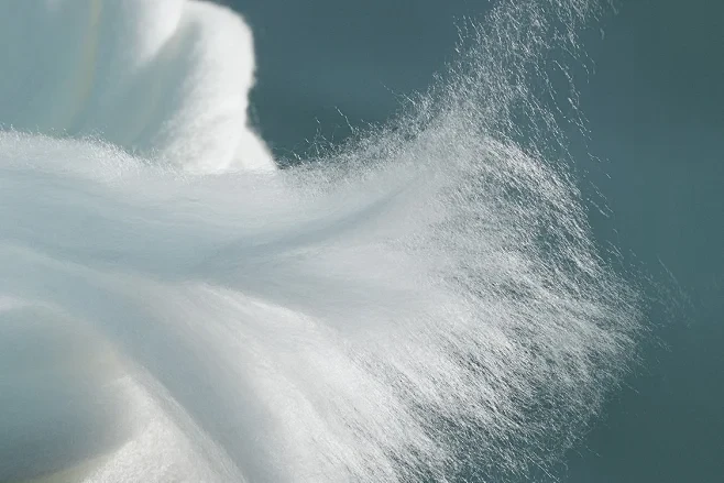 Understanding Different Types of Cellulose and Their Industrial Value