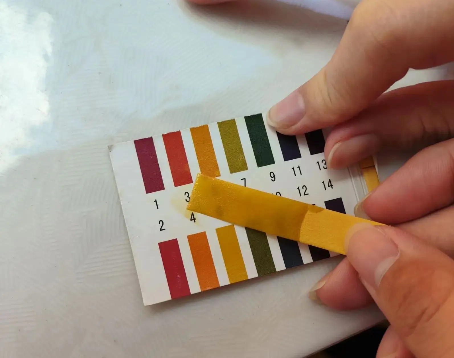 Microcrystalline Cellulose