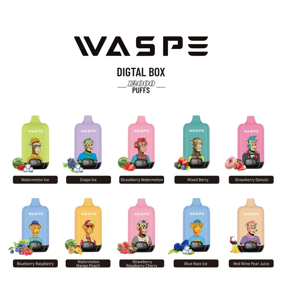 WASPE 12000 PUFFS Digital Box