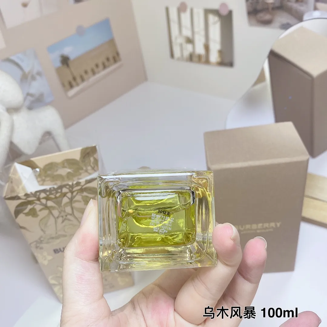 Burberry OUD STORM 100ml