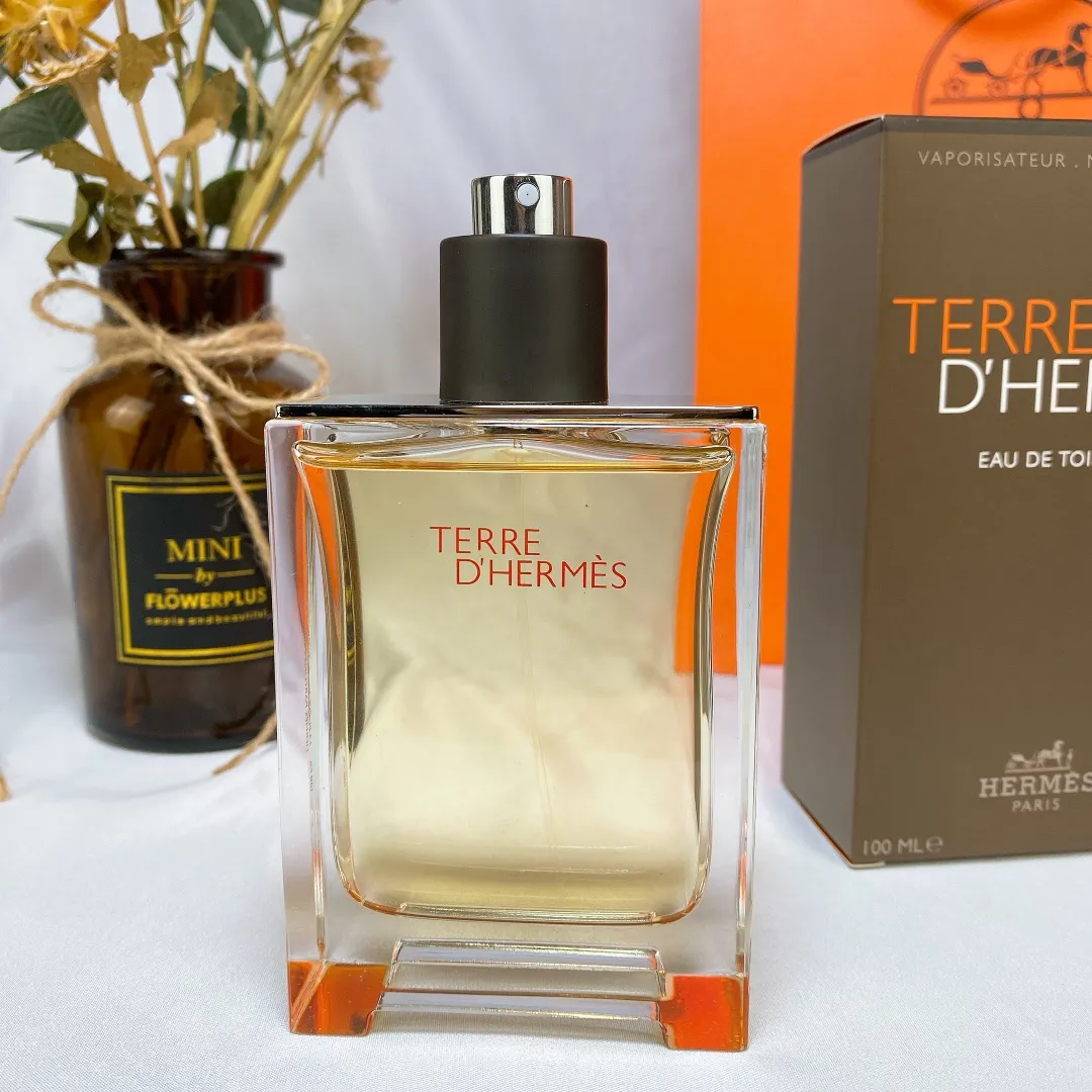 Hermes Terre D' Hermes EDT 100ml