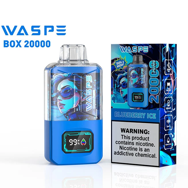 WASPE 20000 PUFFS Dual Mesh Box