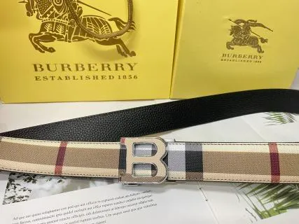 027  belt