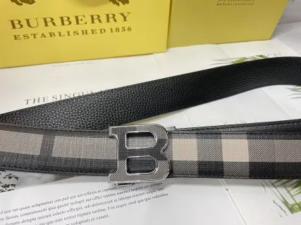 025  belt