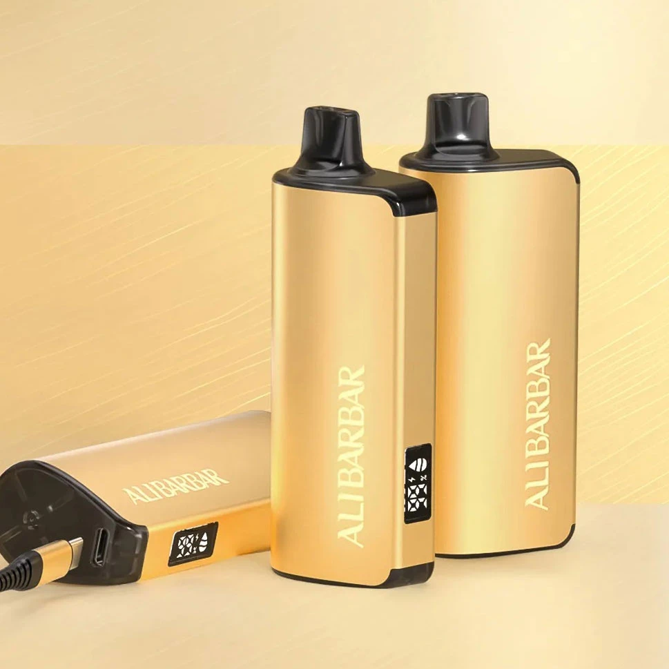 Ingot 20000 PUFFS Electronic Cigarettes