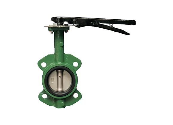 Grooved Butterfly Valves: Tamper Switch and Type Details
