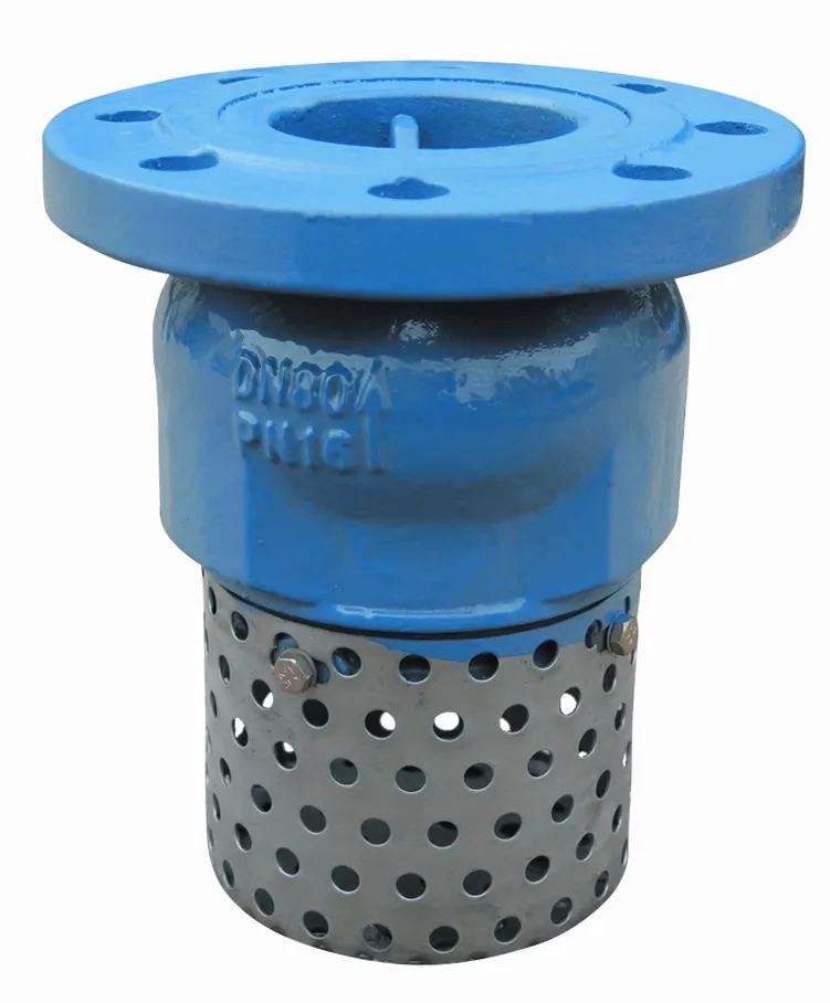 Finding the Best Foot Valve