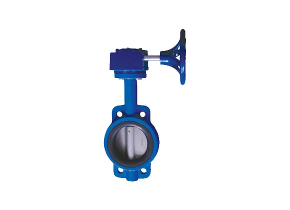 Wafer Type Butterfly Valves: Connections and Installation Details