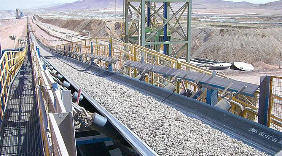 butterfly valve cf8m