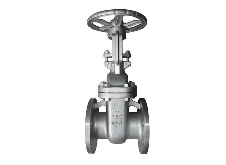 Double Flanged Gate Valve: Enhanced Stability for Processing Plants