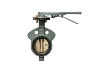 BF Valve: Quick and Reliable for Hazardous Materials