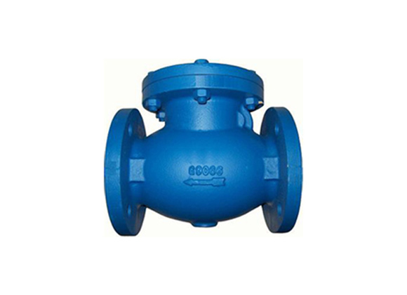 Need a flanged end swing check valve with low head loss?