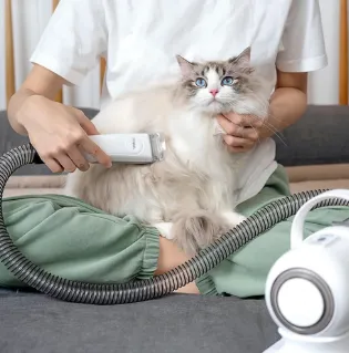 The Role of Pet Shop Suppliers in the Pet Care Industry