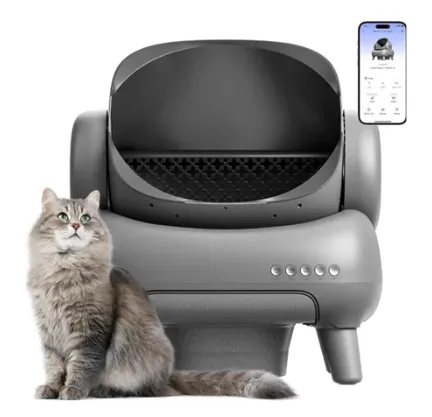 Best Litter Box Types for First-Time Owners