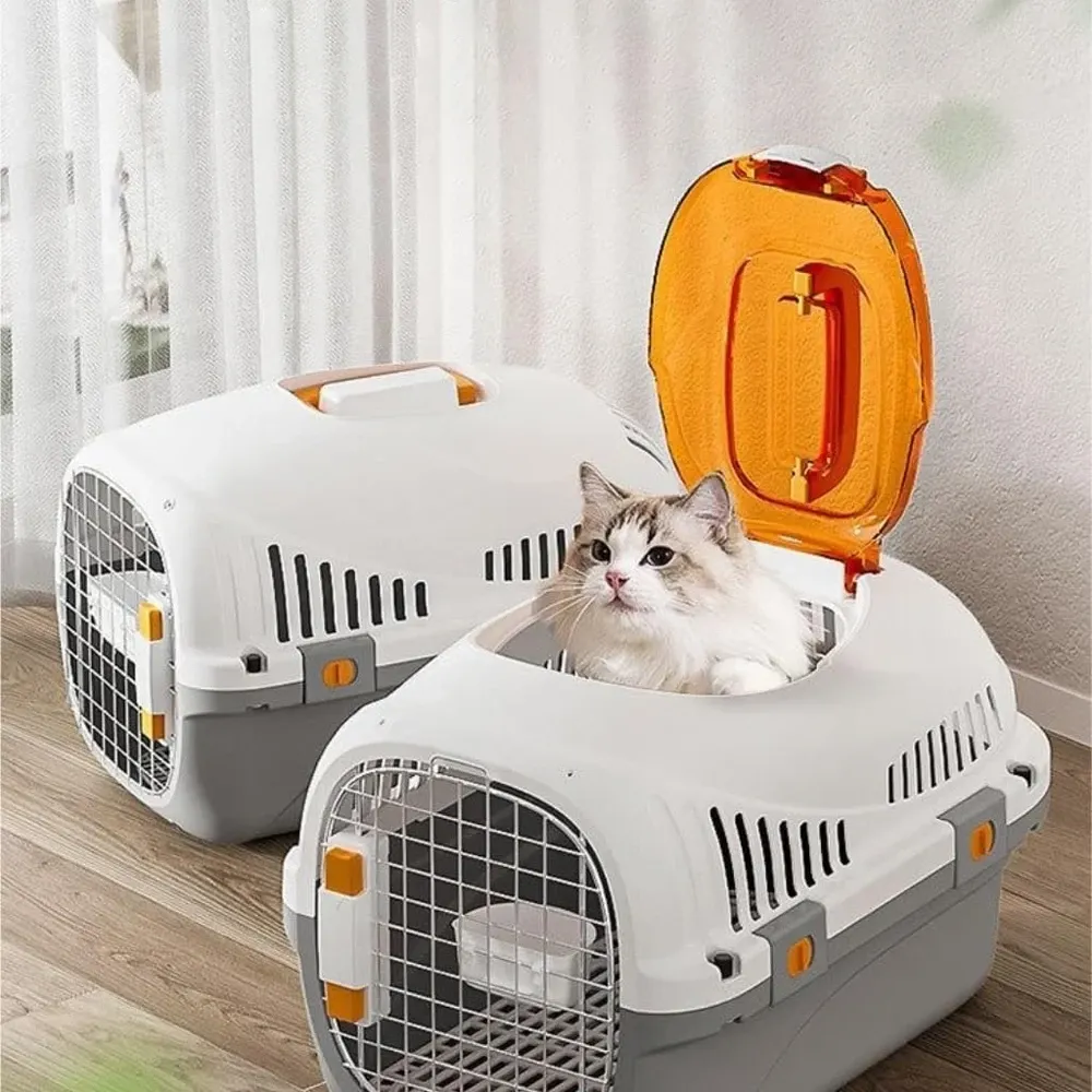 Pet Carry Box with Temperature Control Features