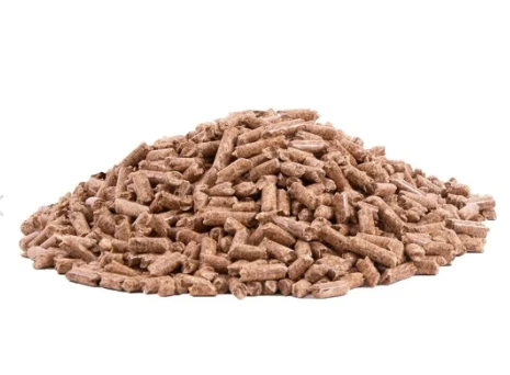 Ensuring Safety for Kittens with Pine Cat Litter